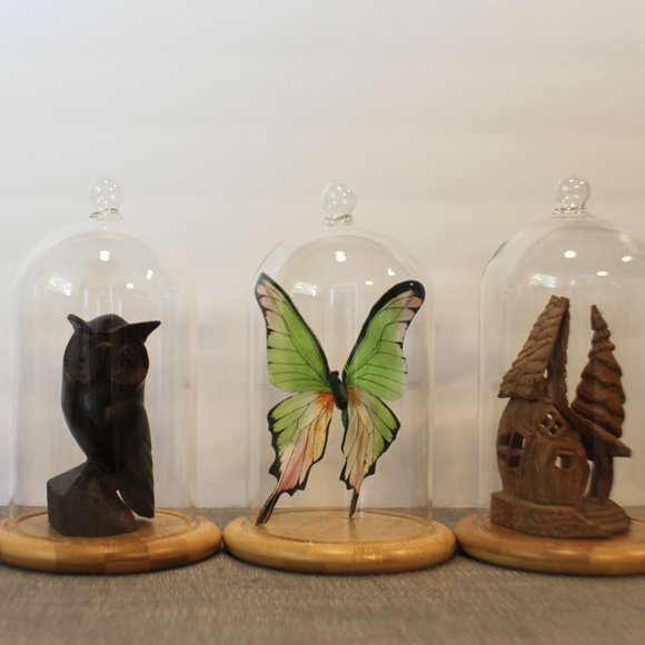 NWOT Glass Cloche Bell Jar Display Dome With Wooden Base - Picture 2 of 7